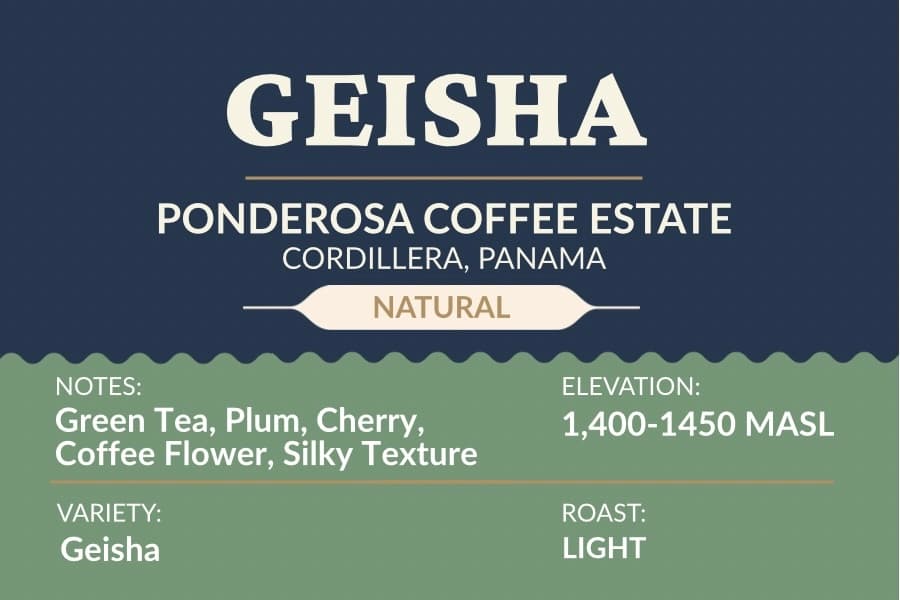 Ponderosa Geisha Natural